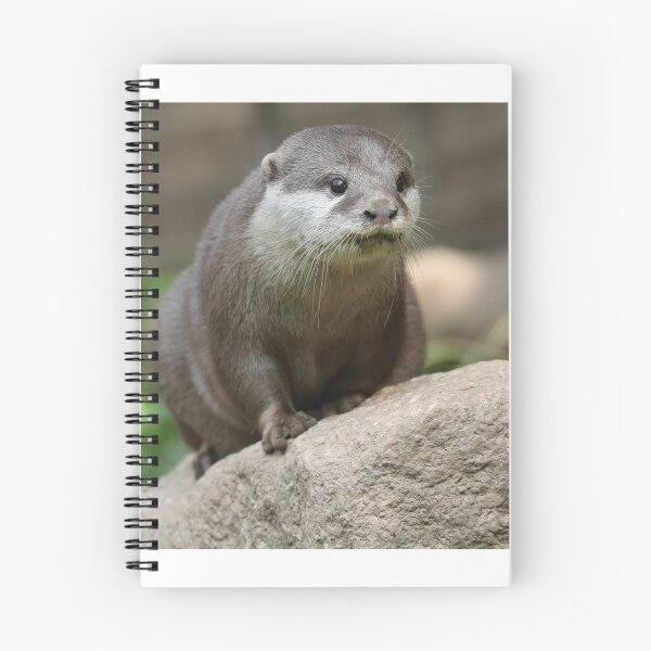 Item preview, Otter designed and sold by aquabella.