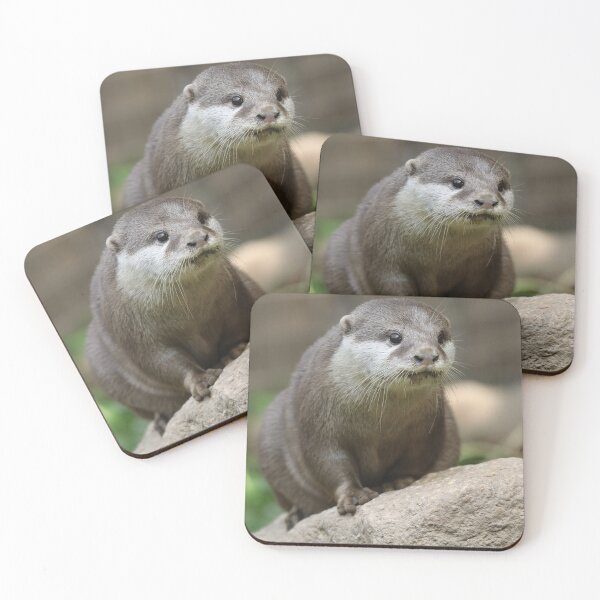 Item preview, Otter designed and sold by aquabella.