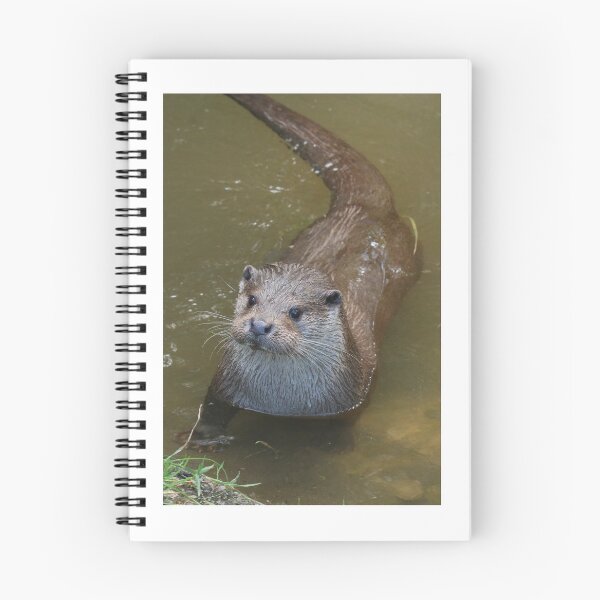 Item preview, Otter designed and sold by aquabella.