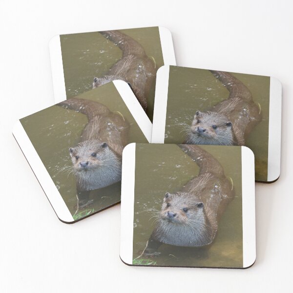 Item preview, Otter designed and sold by aquabella.