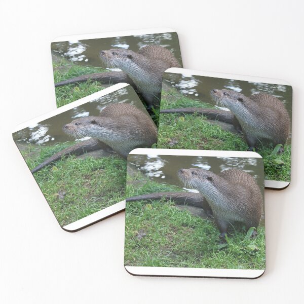 Item preview, Otter designed and sold by aquabella.