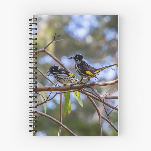 Item preview, Two New Holland Honey Eaters Chillin' designed and sold by FigTreeMagick.