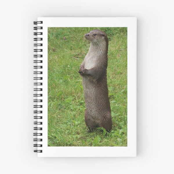Item preview, Otter designed and sold by aquabella.
