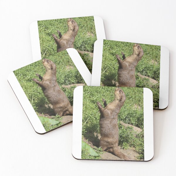 Item preview, Otter designed and sold by aquabella.