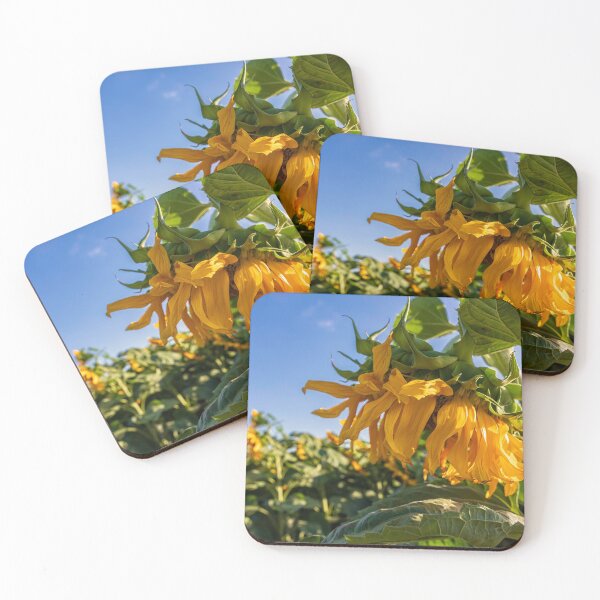 Item preview, Side view of a blooming sunflower flower head closeup on a background of green foliage designed and sold by EG Creativity Art.