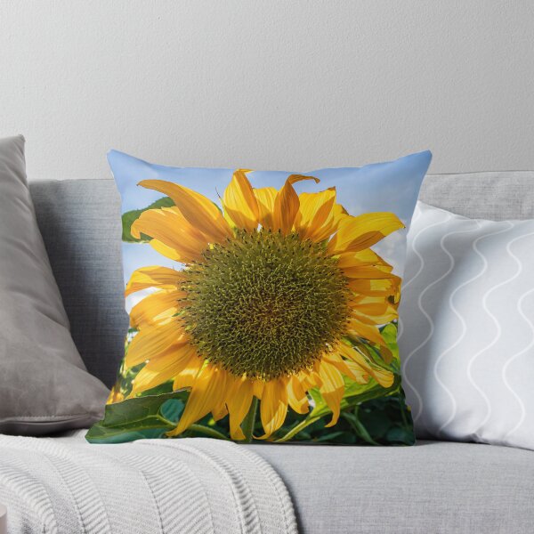 Aperçu de l'œuvre Front view of a blooming sunflower flower heads close up agains sky and green foliage créée et vendue par EG Creativity Art.