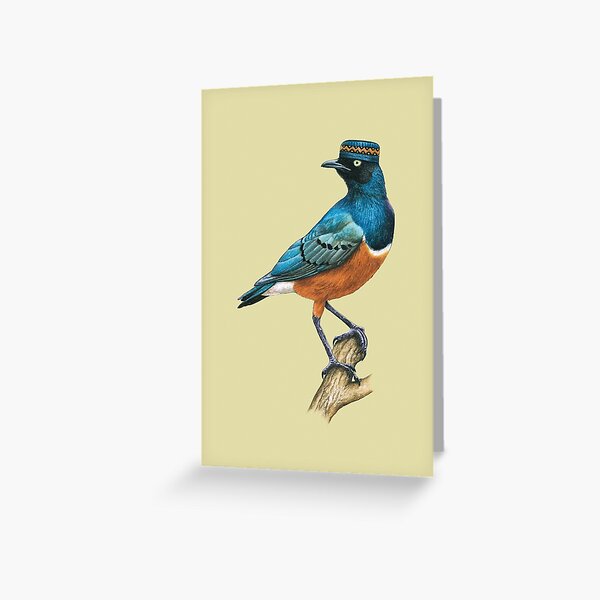 Item preview, Superb starling designed and sold by Nemonvmv.