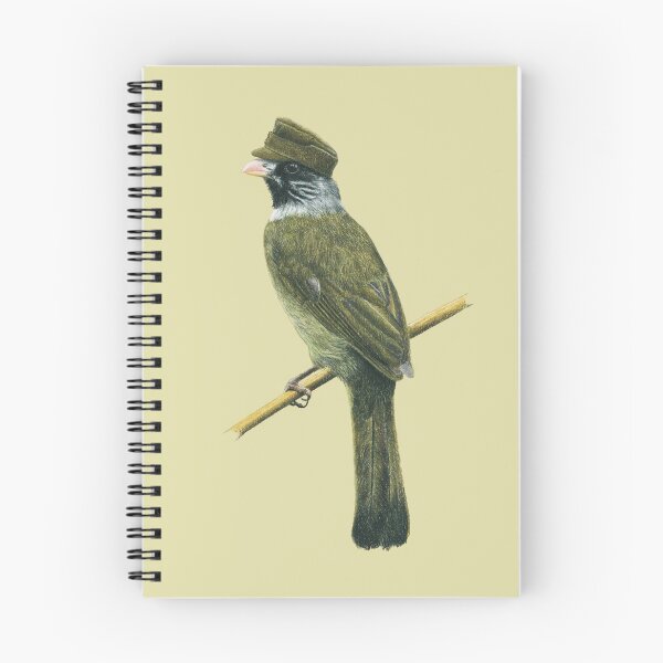Item preview, Collared finchbill designed and sold by Nemonvmv.