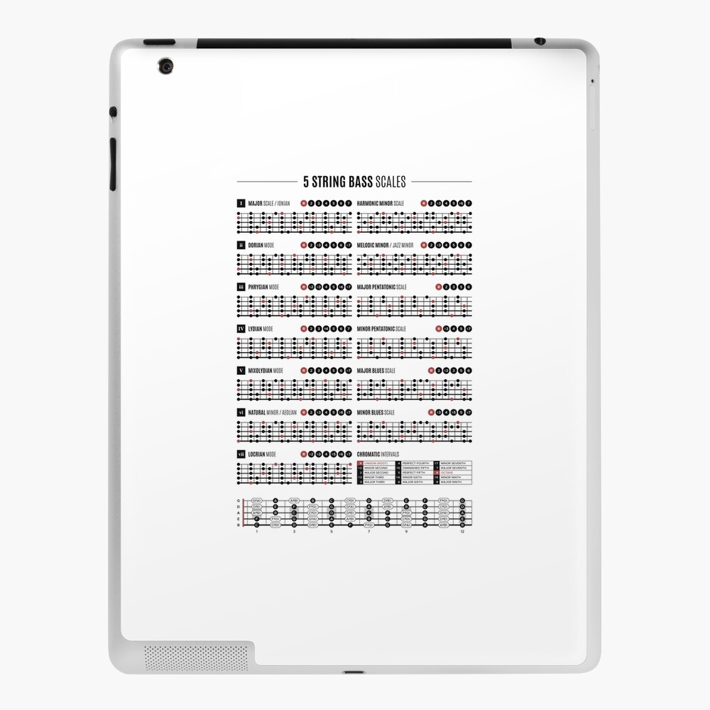 Five String Bass Guitar Scales & Modes Chart iPad Case & Skin for Sale by  pennyandhorse