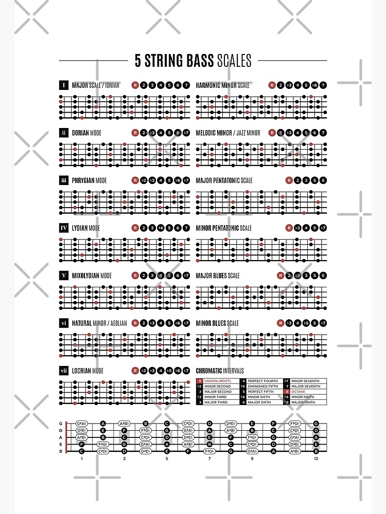 Five String Bass Guitar Scales & Modes Chart Poster for Sale by