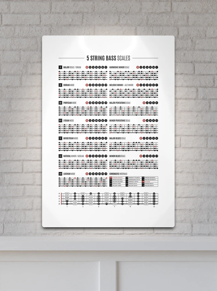 Five String Bass Guitar Scales & Modes Chart Metal Print for Sale by  pennyandhorse