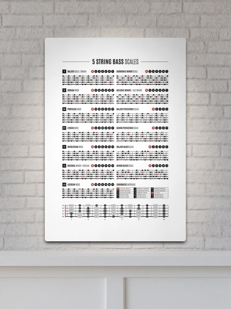 String Bass Scale Sheet