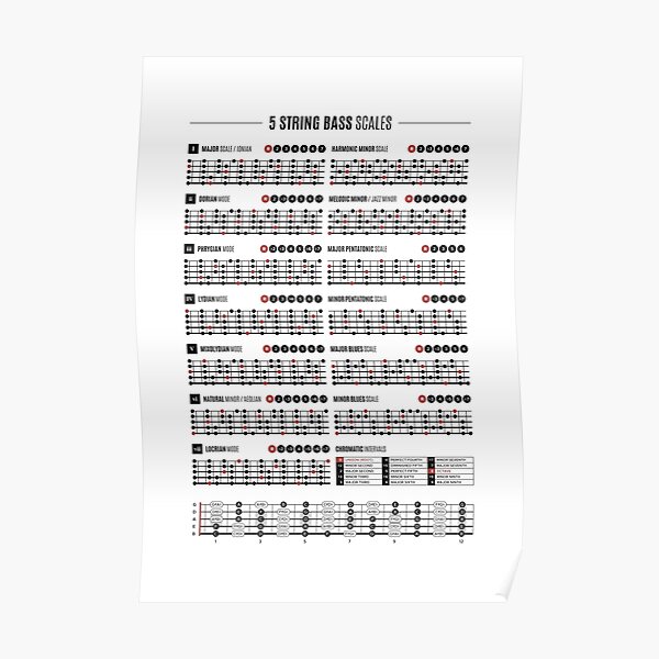 "Five String Bass Guitar Scales & Modes Chart" Poster for Sale by