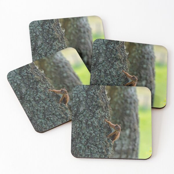 Item preview, Red squirrel on tree trunk designed and sold by iCimages.net.