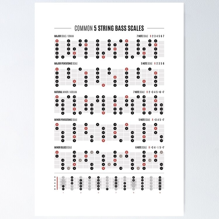 Five String Bass Guitar Common Scales Poster for Sale by