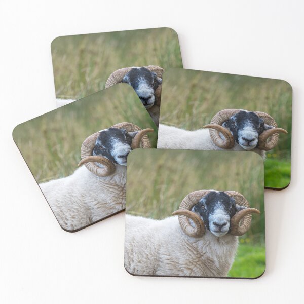 Item preview, Scottish Blackface Sheep designed and sold by iCimages.net.