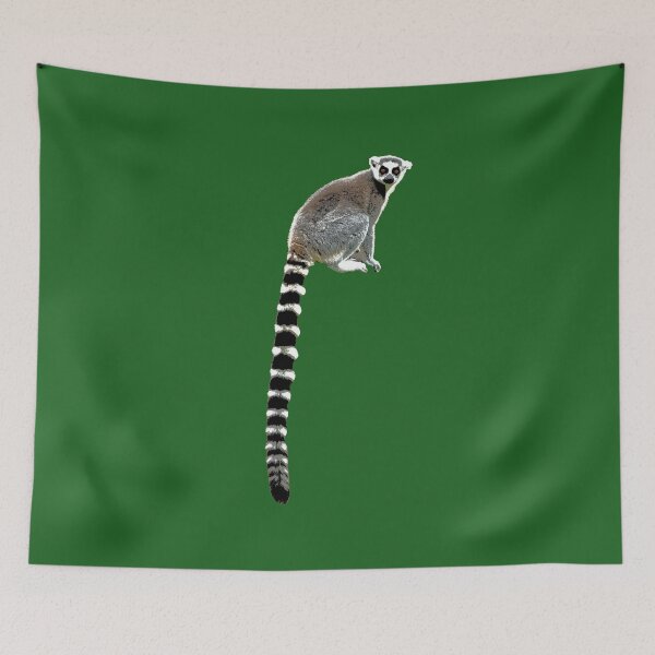 Item preview, Ring-Tailed Lemur Color Print  designed and sold by designsasstultd.