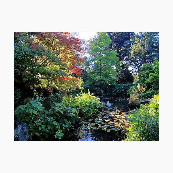 Autumn Tranquility Photographic Print