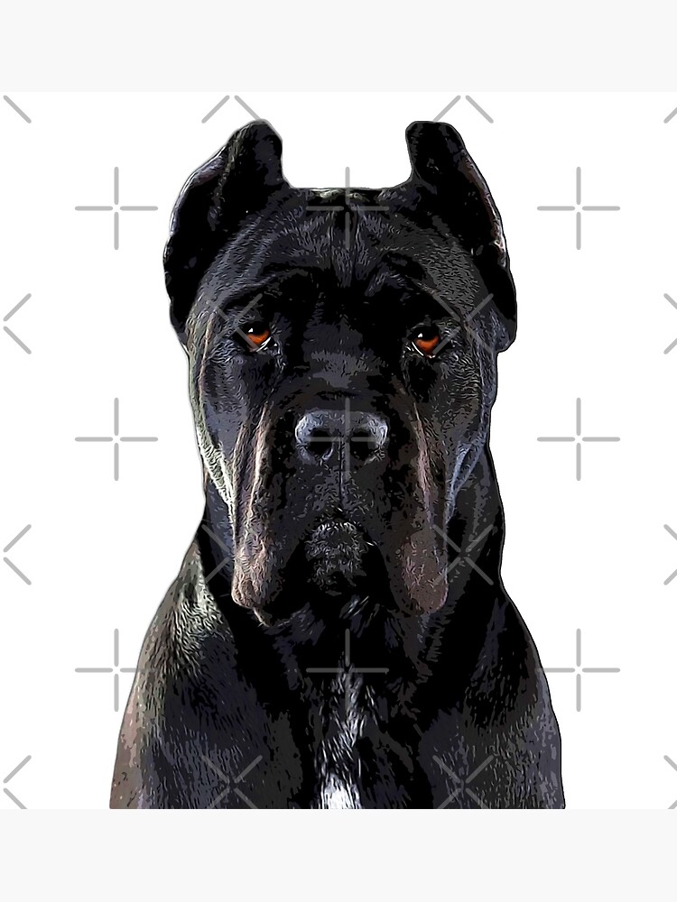 Cane Corso Dog Black  Postcard for Sale by ElegantCat