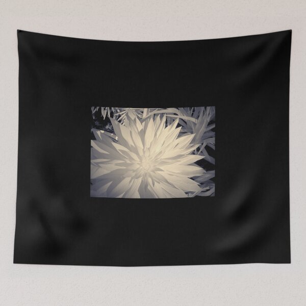 Item preview, Groving fast. Martagon lily ir-photography designed and sold by Jouko Lehto Photography.