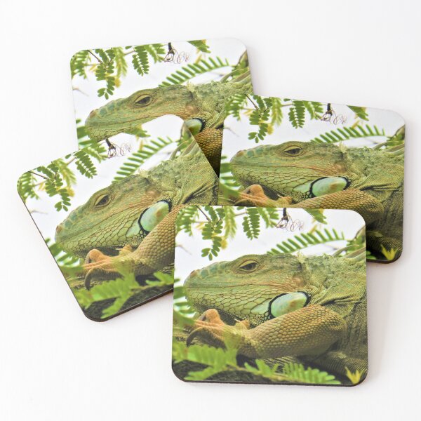 Item preview, Iguana Photography, Shirt, Tank Top, Hoodie, Iguana Shirt, Iguana Gift, Iguana Lover Shirt, Iguana Owner Gift, Funny Iguana Shirt, Iguana Sticker designed and sold by TheGreekGuy.