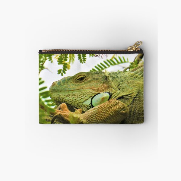 Item preview, Iguana Photography, Shirt, Tank Top, Hoodie, Iguana Shirt, Iguana Gift, Iguana Lover Shirt, Iguana Owner Gift, Funny Iguana Shirt, Iguana Sticker designed and sold by TheGreekGuy.