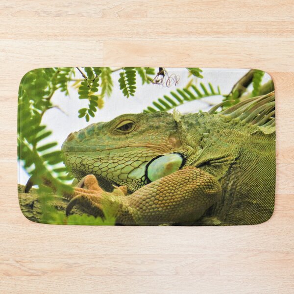 Item preview, Iguana Photography, Shirt, Tank Top, Hoodie, Iguana Shirt, Iguana Gift, Iguana Lover Shirt, Iguana Owner Gift, Funny Iguana Shirt, Iguana Sticker designed and sold by TheGreekGuy.