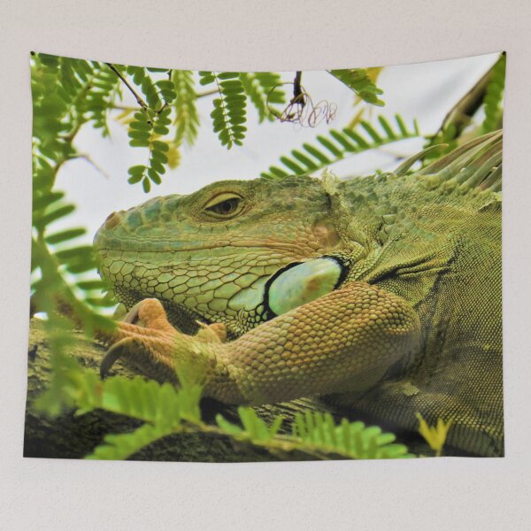 Item preview, Iguana Photography, Shirt, Tank Top, Hoodie, Iguana Shirt, Iguana Gift, Iguana Lover Shirt, Iguana Owner Gift, Funny Iguana Shirt, Iguana Sticker designed and sold by TheGreekGuy.