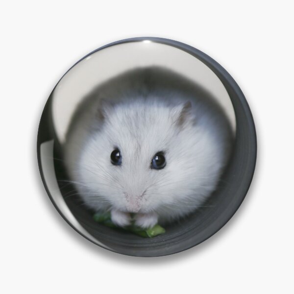 Item preview, Cute White Hamster In Wheel.  designed and sold by cgroenewald.