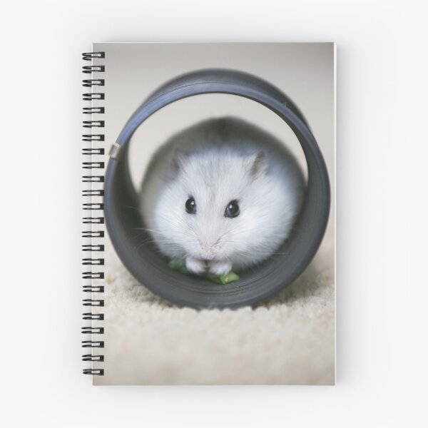 Item preview, Cute White Hamster In Wheel.  designed and sold by cgroenewald.