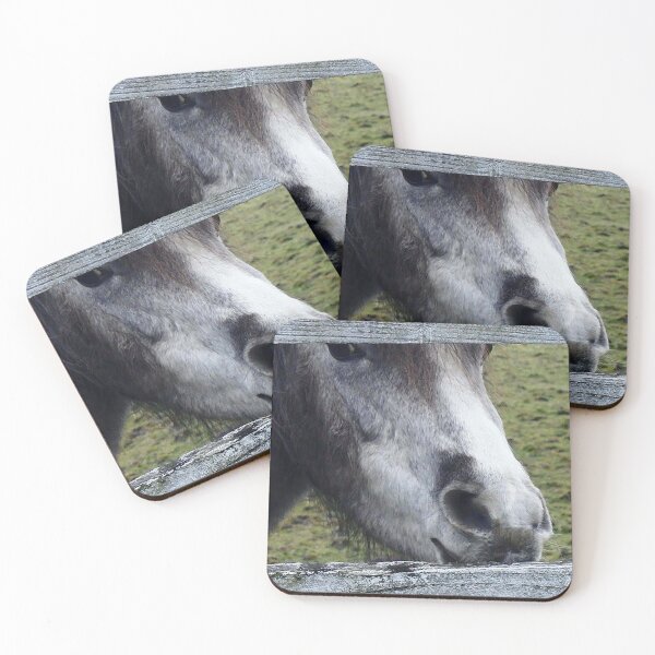 Artikelvorschau, Grey pony entworfen und verkauft von Marju Rose.