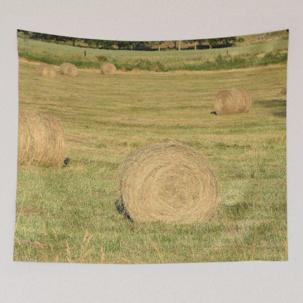 Item preview, Hay bales in Oregon  designed and sold by Artlajf.