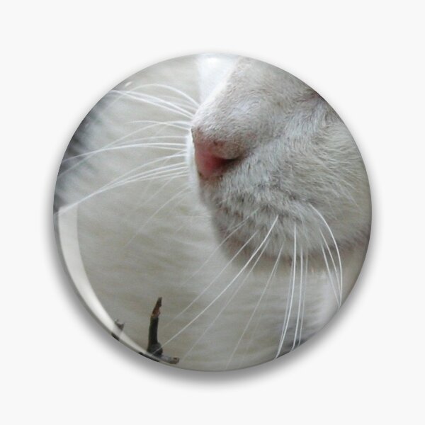 Item preview, Close Up Of A Piebald Cat designed and sold by taiche.