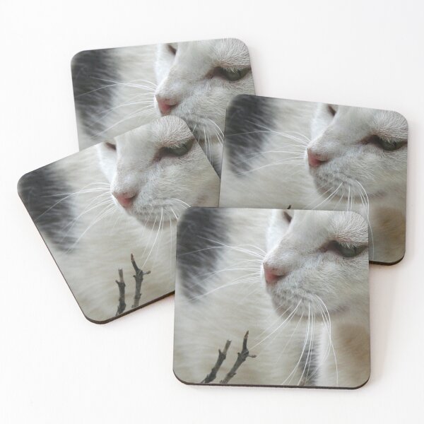 Item preview, Close Up Of A Piebald Cat designed and sold by taiche.