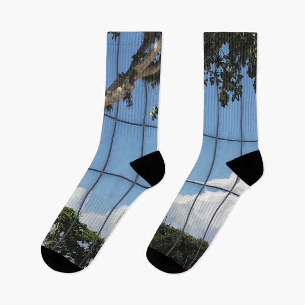 Item preview, Florida Reflections designed and sold by cuprum.