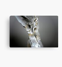 Aqua Canvas Print