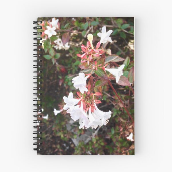 Aperçu de l'œuvre White Flower créée et vendue par Bello Designs.