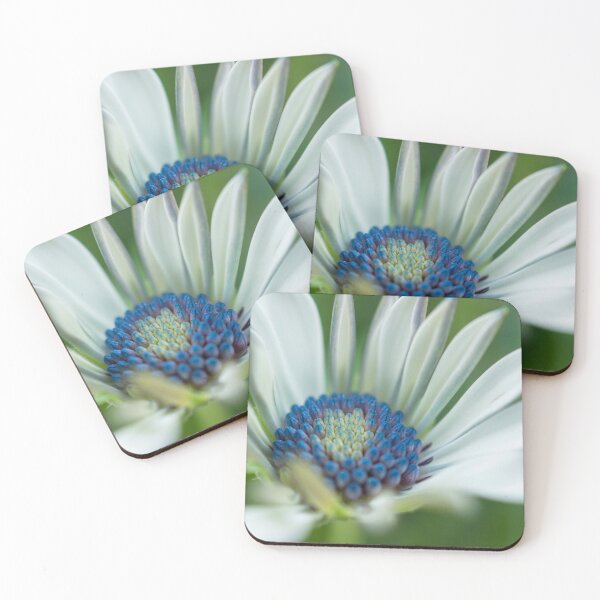 Item preview,  White Osteospermum. designed and sold by John Ray.