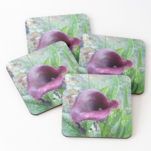 Item preview, Black Calla Lily designed and sold by Adrian Todd Peck.