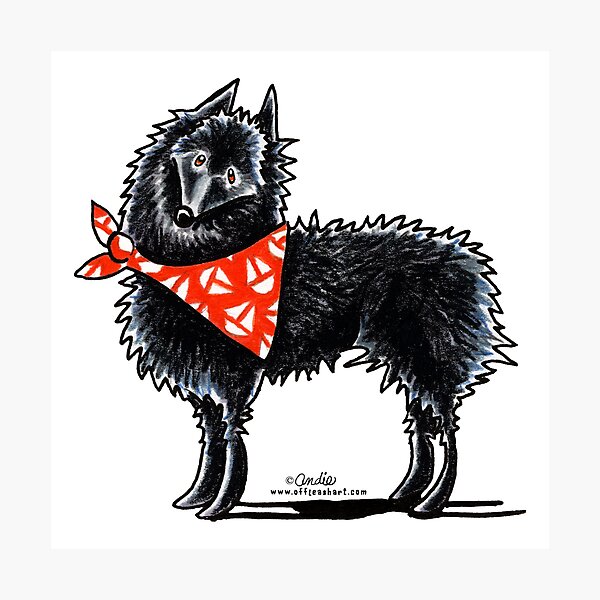 Black Dog Sailor
