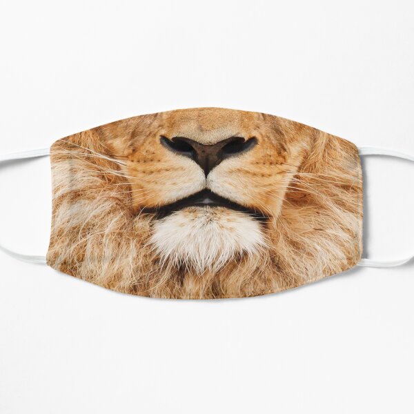 Lion mask Mask