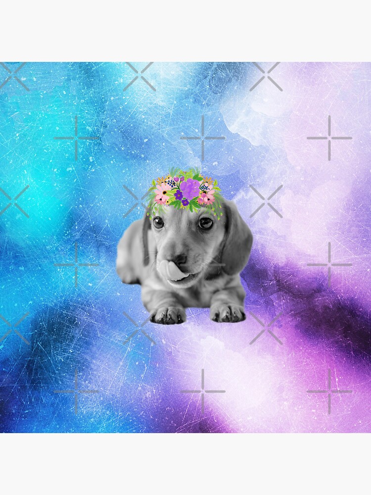 Distressed Watercolour Dachshund Puppy by tribbledesign