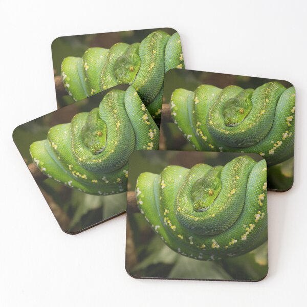 Item preview, green tree python designed and sold by Cloudtail.