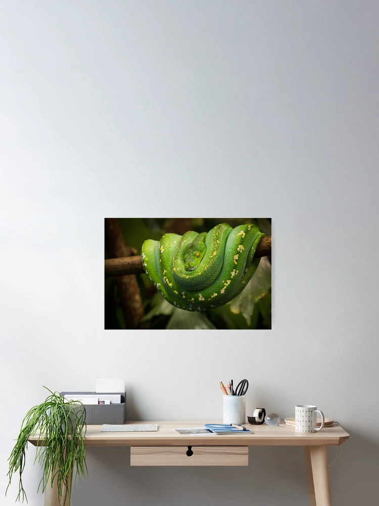 Thumbnail 2 of 3, Poster, green tree python designed and sold by Cloudtail.