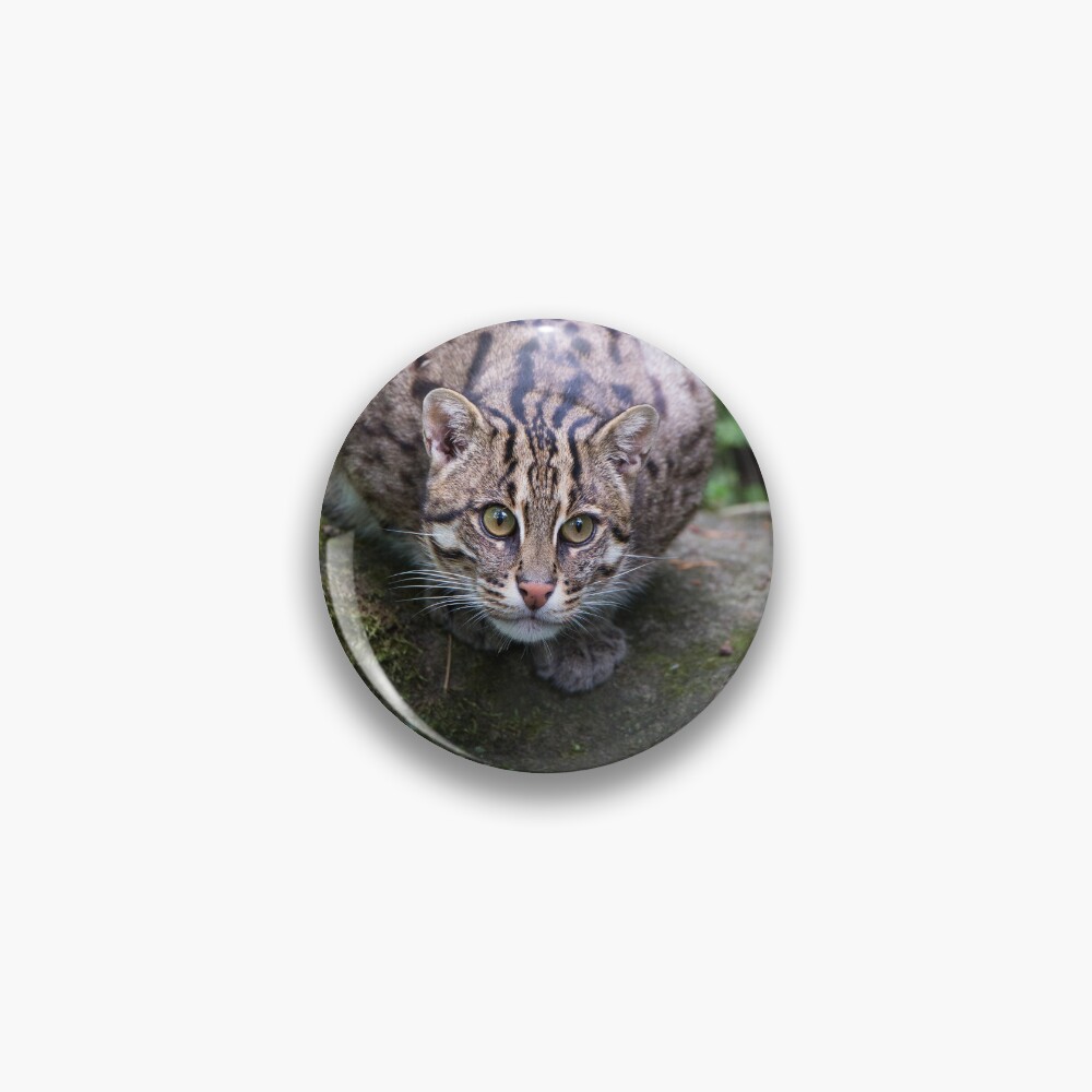 Item preview, Pin designed and sold by Cloudtail.