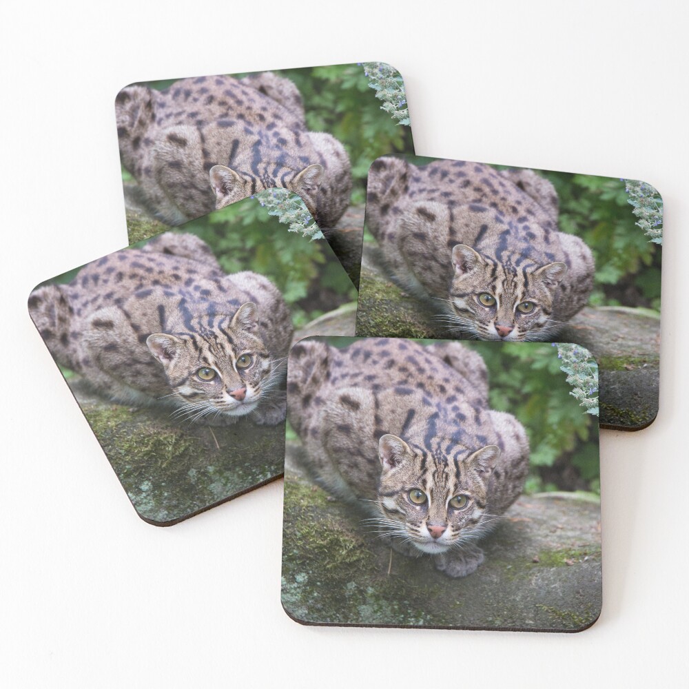 Item preview, Coasters (Set of 4) designed and sold by Cloudtail.