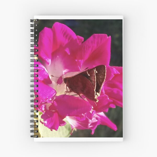 Item preview, Morning Glory and Moth designed and sold by Adrian Todd Peck.