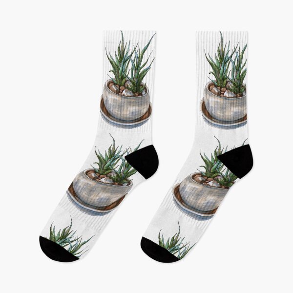 Item preview, Haworthia succulent plants in a pot designed and sold by stasia-ch.