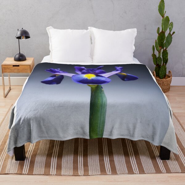 Item preview, A single beautiful blue Iris flower. No.2 designed and sold by Phillip Thornton.
