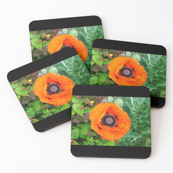 Item preview, A Oriental poppy designed and sold by PicsByTony.